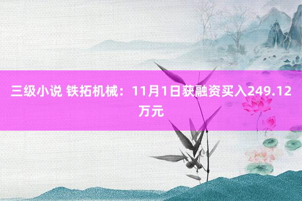 三级小说 铁拓机械：11月1日获融资买入249.12万元