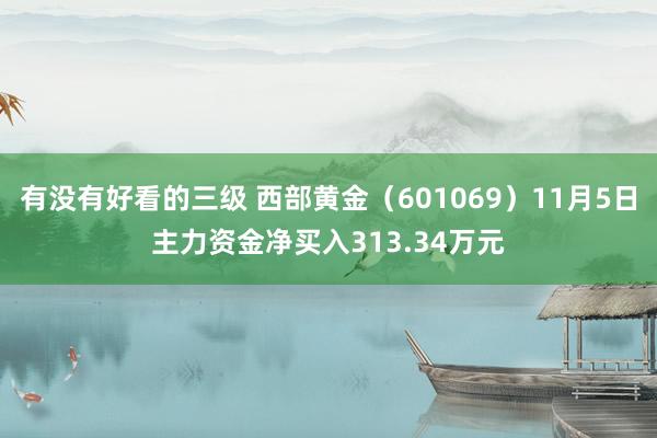 有没有好看的三级 西部黄金（601069）11月5日主力资金净买入313.34万元