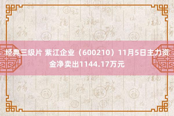 经典三级片 紫江企业（600210）11月5日主力资金净卖出1144.17万元