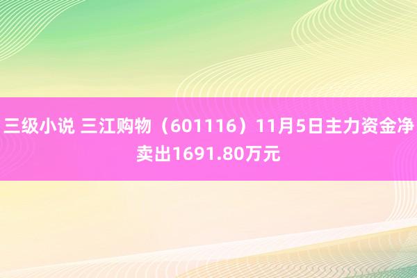 三级小说 三江购物（601116）11月5日主力资金净卖出1691.80万元