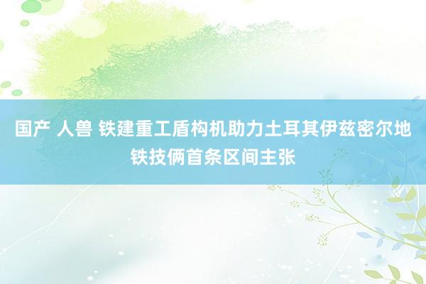 国产 人兽 铁建重工盾构机助力土耳其伊兹密尔地铁技俩首条区间主张