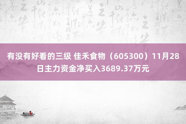 有没有好看的三级 佳禾食物（605300）11月28日主力资金净买入3689.37万元