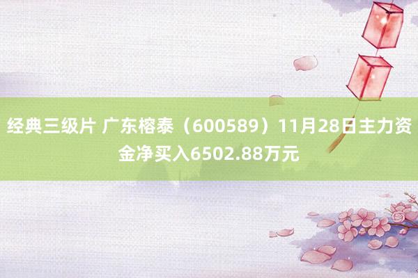 经典三级片 广东榕泰（600589）11月28日主力资金净买入6502.88万元