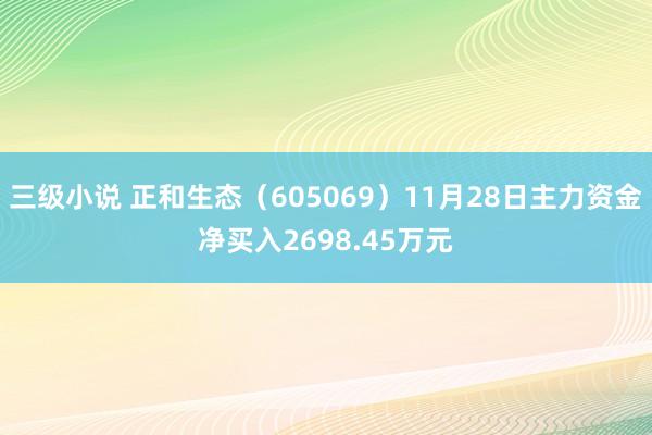 三级小说 正和生态（605069）11月28日主力资金净买入2698.45万元