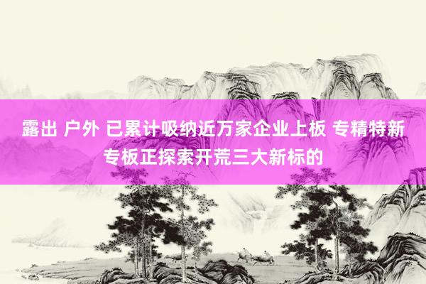 露出 户外 已累计吸纳近万家企业上板 专精特新专板正探索开荒三大新标的