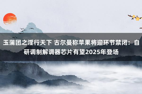 玉蒲团之淫行天下 古尔曼称苹果将迎环节禁闭：自研调制解调器芯片有望2025年登场