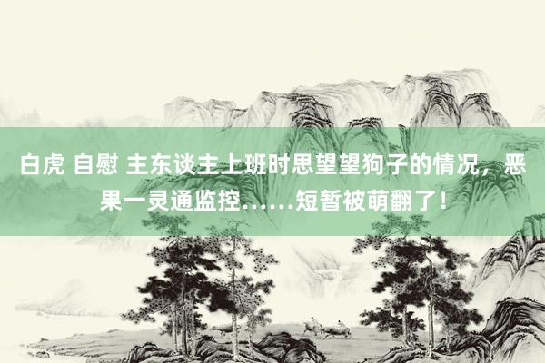 白虎 自慰 主东谈主上班时思望望狗子的情况，恶果一灵通监控……短暂被萌翻了！