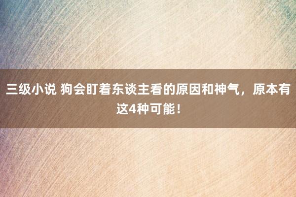 三级小说 狗会盯着东谈主看的原因和神气，原本有这4种可能！