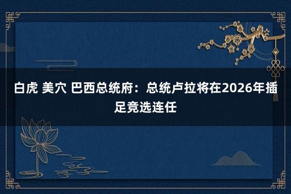 白虎 美穴 巴西总统府：总统卢拉将在2026年插足竞选连任