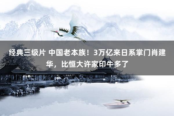 经典三级片 中国老本族！3万亿来日系掌门肖建华，比恒大许家印