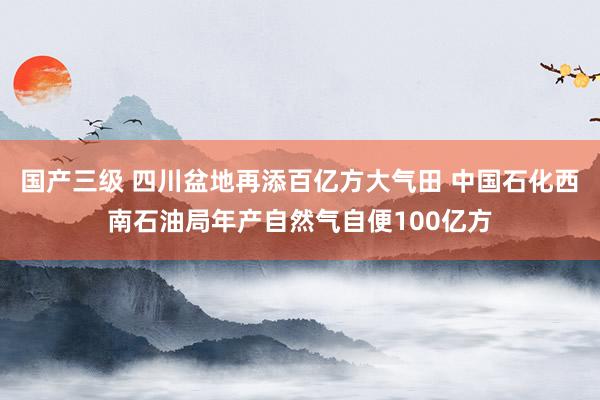 国产三级 四川盆地再添百亿方大气田 中国石化西南石油局年产自