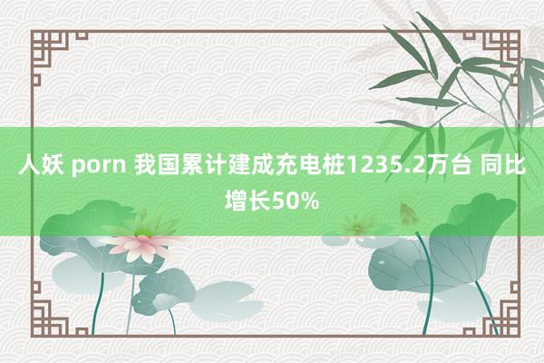 人妖 porn 我国累计建成充电桩1235.2万台 同比增长