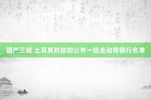 国产三级 土耳其财政部公布一级走动商银行名单