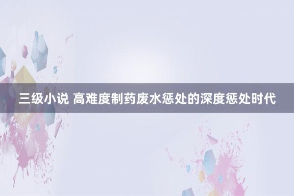 三级小说 高难度制药废水惩处的深度惩处时代