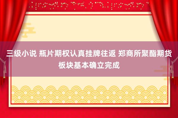 三级小说 瓶片期权认真挂牌往返 郑商所聚酯期货板块基本确立完