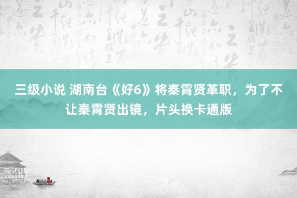 三级小说 湖南台《好6》将秦霄贤革职，为了不让秦霄贤出镜，片