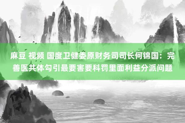 麻豆 视频 国度卫健委原财务司司长何锦国：完善医共体勾引最要害要科罚里面利益分派问题