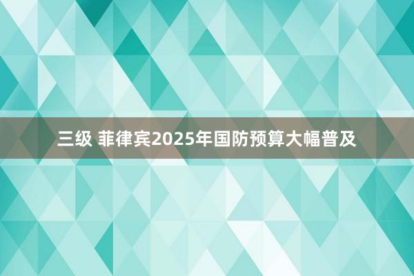 三级 菲律宾2025年国防预算大幅普及