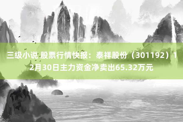 三级小说 股票行情快报：泰祥股份（301192）12月30日主力资金净卖出65.32万元