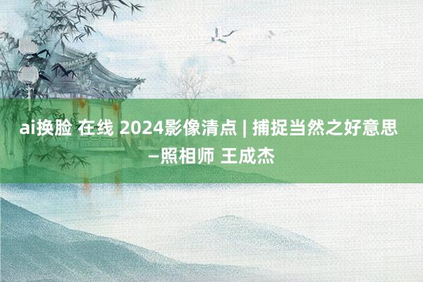 ai换脸 在线 2024影像清点 | 捕捉当然之好意思 —照相师 王成杰