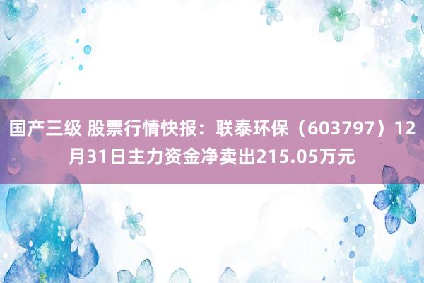 国产三级 股票行情快报：联泰环保（603797）12月31日主力资金净卖出215.05万元