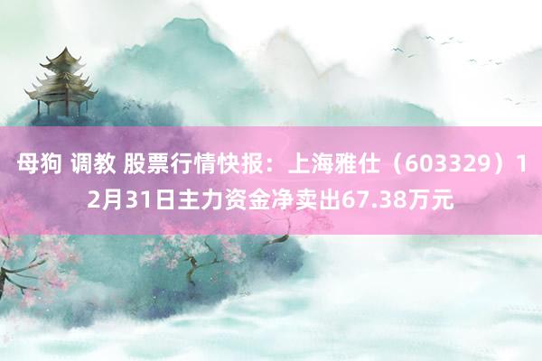 母狗 调教 股票行情快报：上海雅仕（603329）12月31日主力资金净卖出67.38万元