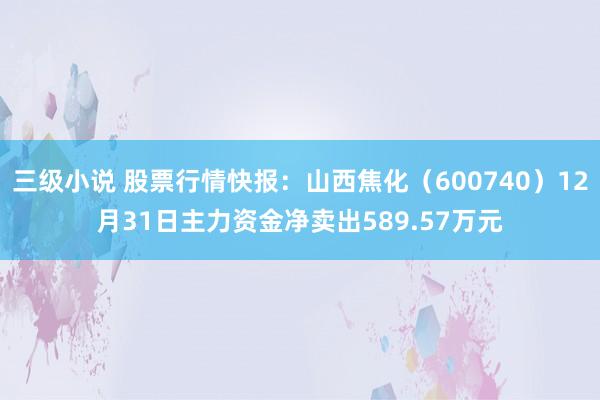 三级小说 股票行情快报：山西焦化（600740）12月31日主力资金净卖出589.57万元