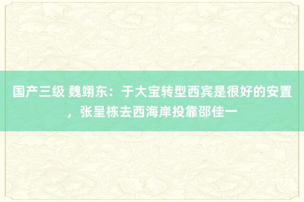 国产三级 魏翊东：于大宝转型西宾是很好的安置，张呈栋去西海岸投靠邵佳一