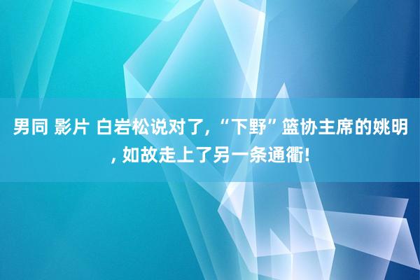 男同 影片 白岩松说对了， “下野”篮协主席的姚明， 如故走上了另一条通衢!