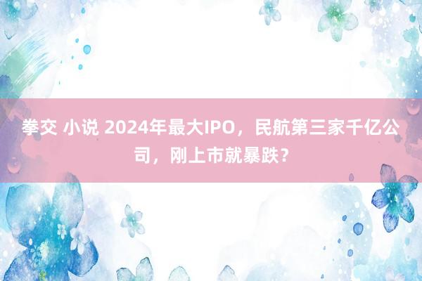 拳交 小说 2024年最大IPO，民航第三家千亿公司，刚上市