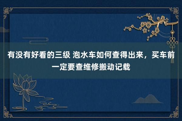 有没有好看的三级 泡水车如何查得出来，买车前一定要查维修搬动