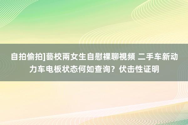 自拍偷拍]藝校兩女生自慰裸聊視頻 二手车新动力车电板状态何如