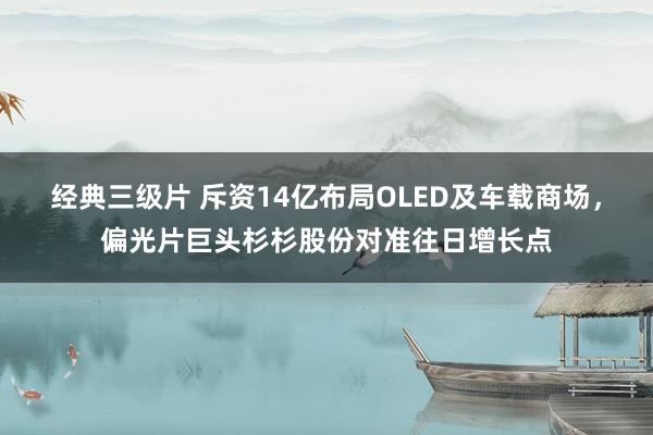 经典三级片 斥资14亿布局OLED及车载商场，偏光片巨头杉杉股份对准往日增长点