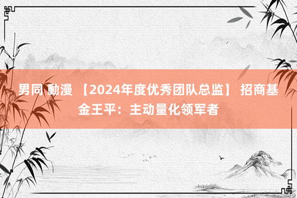 男同 動漫 【2024年度优秀团队总监】 招商基金王平：主动量化领军者