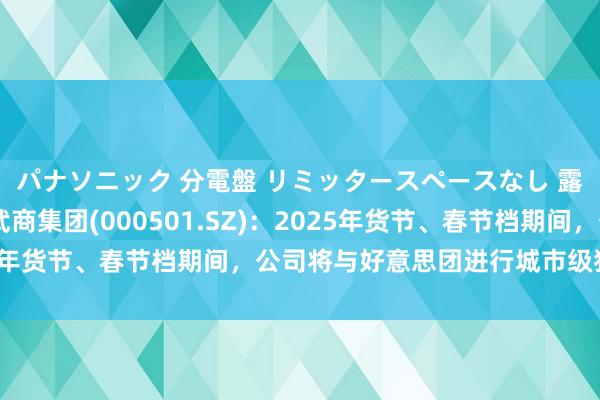 パナソニック 分電盤 リミッタースペースなし 露出・半埋込両