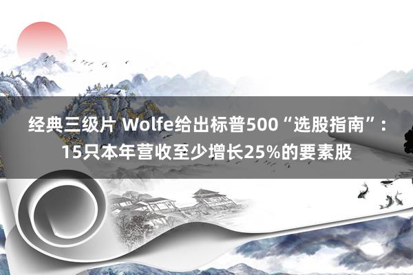 经典三级片 Wolfe给出标普500“选股指南”：15只本年