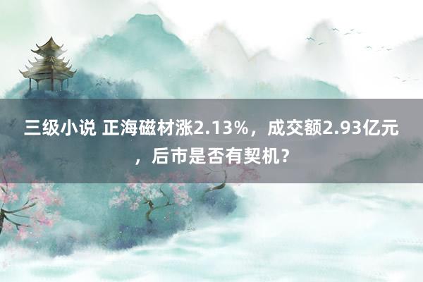 三级小说 正海磁材涨2.13%，成交额2.93亿元，后市是否有契机？