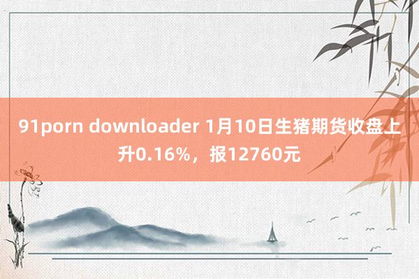 91porn downloader 1月10日生猪期货收盘上升0.16%，报12760元