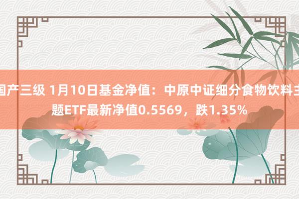 国产三级 1月10日基金净值：中原中证细分食物饮料主题ETF最新净值0.5569，跌1.35%