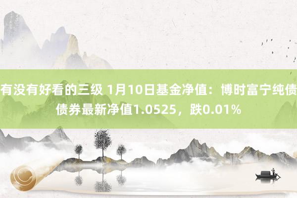 有没有好看的三级 1月10日基金净值：博时富宁纯债债券最新净值1.0525，跌0.01%