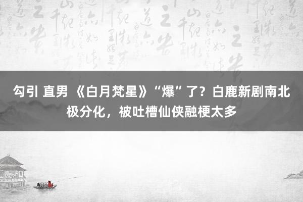 勾引 直男 《白月梵星》“爆”了？白鹿新剧南北极分化，被吐槽仙侠融梗太多