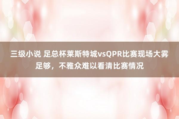 三级小说 足总杯莱斯特城vsQPR比赛现场大雾足够，不雅众难以看清比赛情况