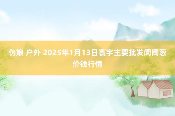 伪娘 户外 2025年1月13日寰宇主要批发阛阓葱价钱行情