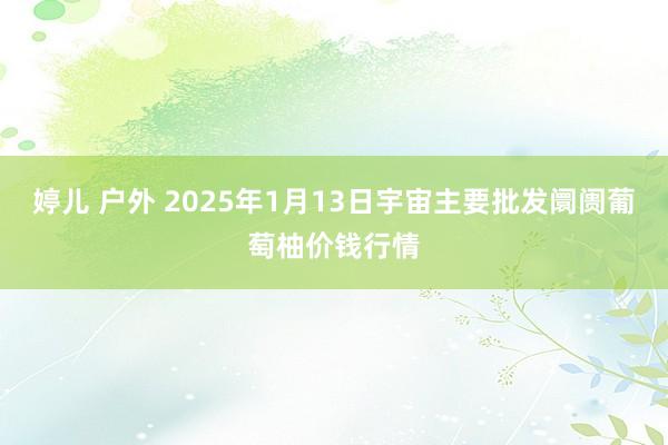 婷儿 户外 2025年1月13日宇宙主要批发阛阓葡萄柚价钱行