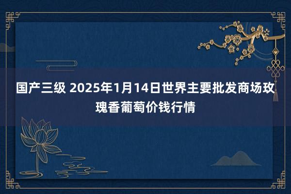 国产三级 2025年1月14日世界主要批发商场玫瑰香葡萄价钱