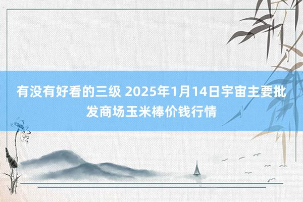 有没有好看的三级 2025年1月14日宇宙主要批发商场玉米棒