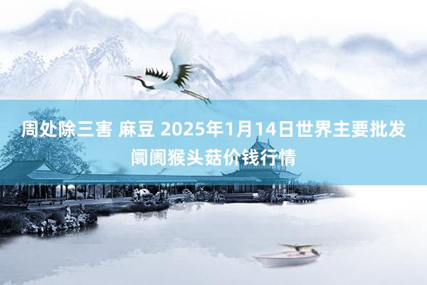 周处除三害 麻豆 2025年1月14日世界主要批发阛阓猴头菇价钱行情