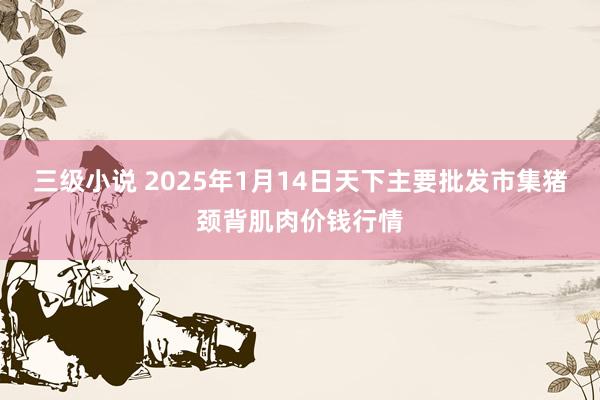 三级小说 2025年1月14日天下主要批发市集猪颈背肌肉价钱行情