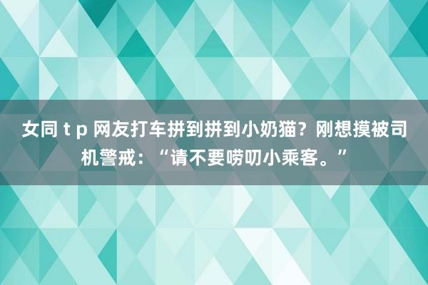 女同 t p 网友打车拼到拼到小奶猫？刚想摸被司机警戒：“请不要唠叨小乘客。”