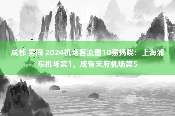 成都 男同 2024机场客流量10强揭晓：上海浦东机场第1，